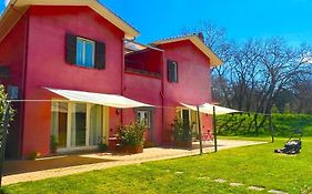 Guest House Il Leone